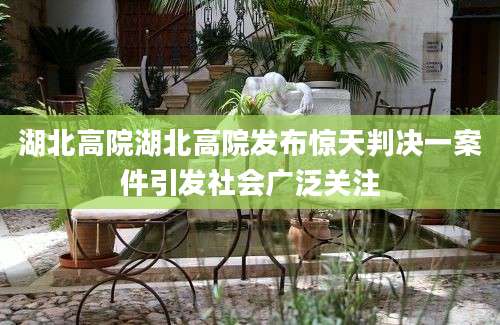 湖北高院湖北高院发布惊天判决一案件引发社会广泛关注