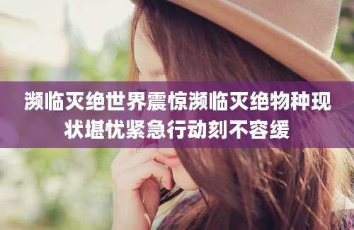 濒临灭绝世界震惊濒临灭绝物种现状堪忧紧急行动刻不容缓