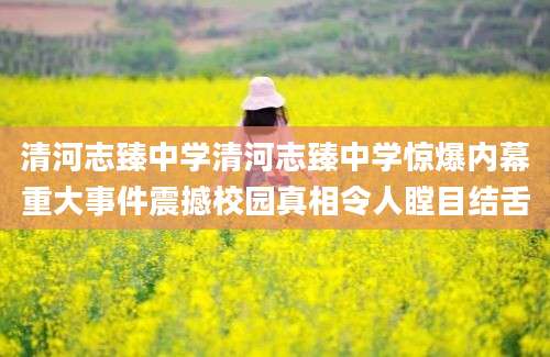 清河志臻中学清河志臻中学惊爆内幕重大事件震撼校园真相令人瞠目结舌