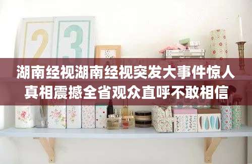 湖南经视湖南经视突发大事件惊人真相震撼全省观众直呼不敢相信