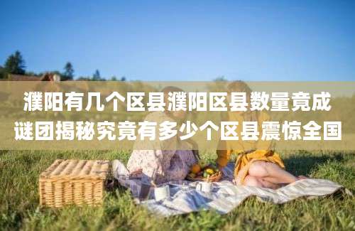 濮阳有几个区县濮阳区县数量竟成谜团揭秘究竟有多少个区县震惊全国
