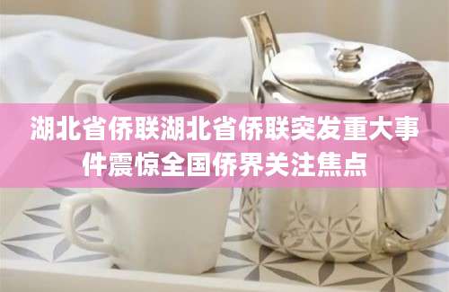 湖北省侨联湖北省侨联突发重大事件震惊全国侨界关注焦点
