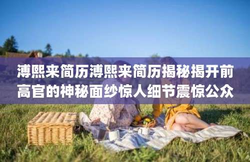 溥熙来简历溥熙来简历揭秘揭开前高官的神秘面纱惊人细节震惊公众