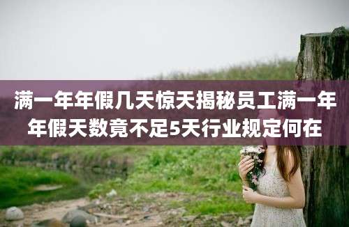 满一年年假几天惊天揭秘员工满一年年假天数竟不足5天行业规定何在