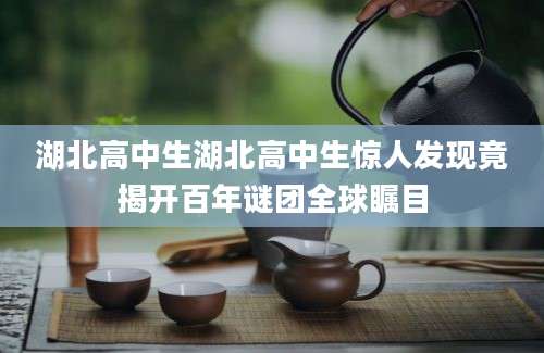 湖北高中生湖北高中生惊人发现竟揭开百年谜团全球瞩目