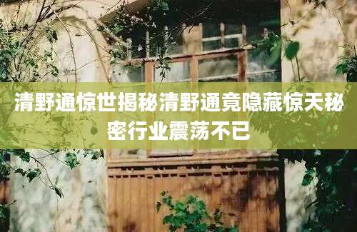 清野通惊世揭秘清野通竟隐藏惊天秘密行业震荡不已