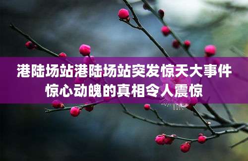 港陆场站港陆场站突发惊天大事件惊心动魄的真相令人震惊