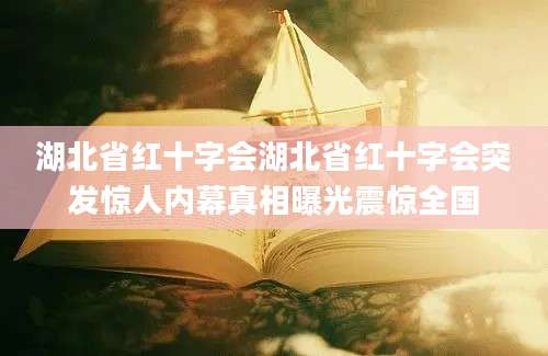 湖北省红十字会湖北省红十字会突发惊人内幕真相曝光震惊全国
