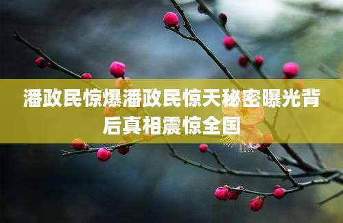 潘政民惊爆潘政民惊天秘密曝光背后真相震惊全国