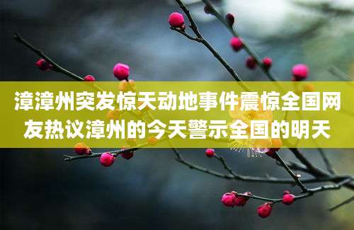漳漳州突发惊天动地事件震惊全国网友热议漳州的今天警示全国的明天