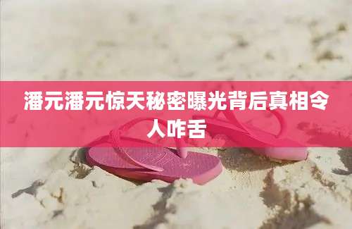 潘元潘元惊天秘密曝光背后真相令人咋舌