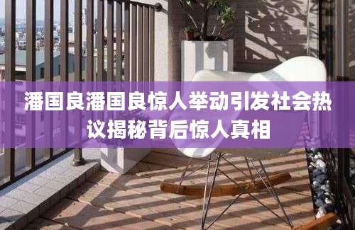潘国良潘国良惊人举动引发社会热议揭秘背后惊人真相