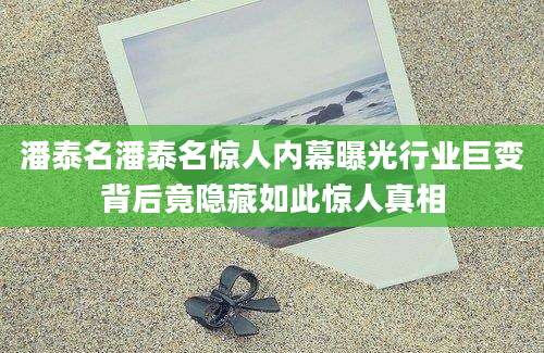 潘泰名潘泰名惊人内幕曝光行业巨变背后竟隐藏如此惊人真相