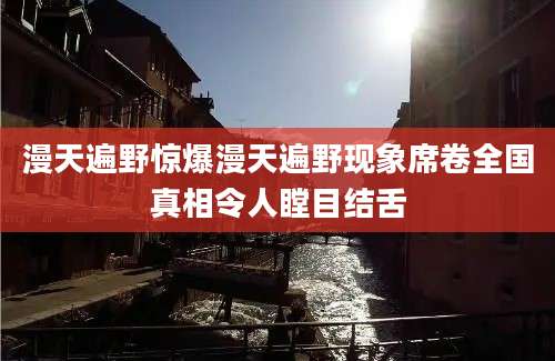 漫天遍野惊爆漫天遍野现象席卷全国真相令人瞠目结舌