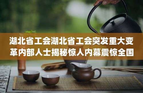 湖北省工会湖北省工会突发重大变革内部人士揭秘惊人内幕震惊全国