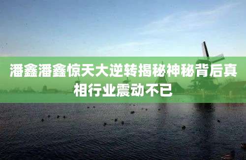 潘鑫潘鑫惊天大逆转揭秘神秘背后真相行业震动不已