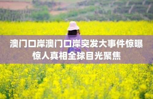 澳门口岸澳门口岸突发大事件惊曝惊人真相全球目光聚焦