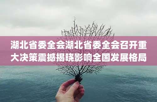湖北省委全会湖北省委全会召开重大决策震撼揭晓影响全国发展格局