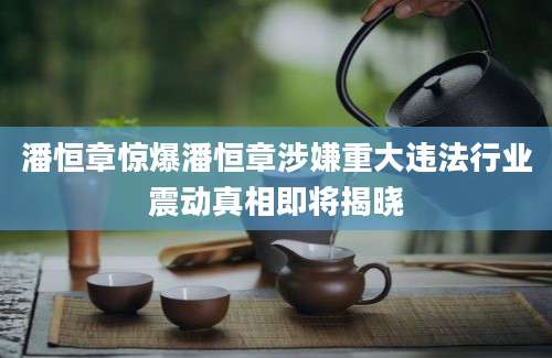 潘恒章惊爆潘恒章涉嫌重大违法行业震动真相即将揭晓
