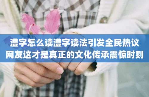 澧字怎么读澧字读法引发全民热议网友这才是真正的文化传承震惊时刻