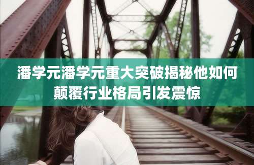 潘学元潘学元重大突破揭秘他如何颠覆行业格局引发震惊