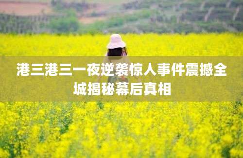 港三港三一夜逆袭惊人事件震撼全城揭秘幕后真相