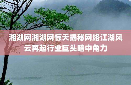 湘湖网湘湖网惊天揭秘网络江湖风云再起行业巨头暗中角力
