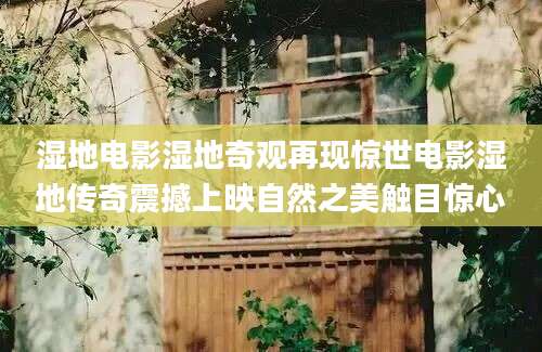 湿地电影湿地奇观再现惊世电影湿地传奇震撼上映自然之美触目惊心