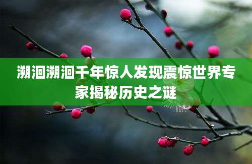 溯洄溯洄千年惊人发现震惊世界专家揭秘历史之谜