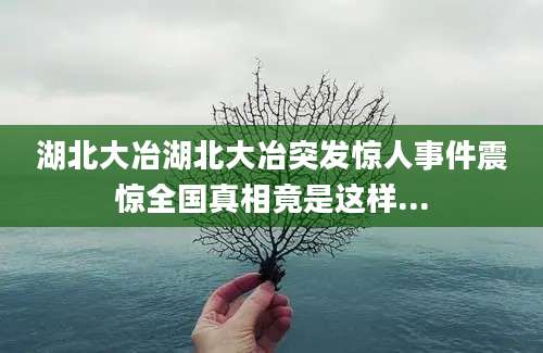 湖北大冶湖北大冶突发惊人事件震惊全国真相竟是这样...