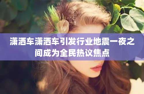潇洒车潇洒车引发行业地震一夜之间成为全民热议焦点