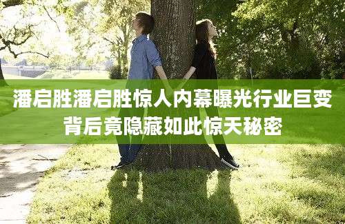 潘启胜潘启胜惊人内幕曝光行业巨变背后竟隐藏如此惊天秘密