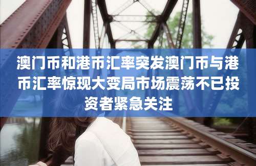 澳门币和港币汇率突发澳门币与港币汇率惊现大变局市场震荡不已投资者紧急关注