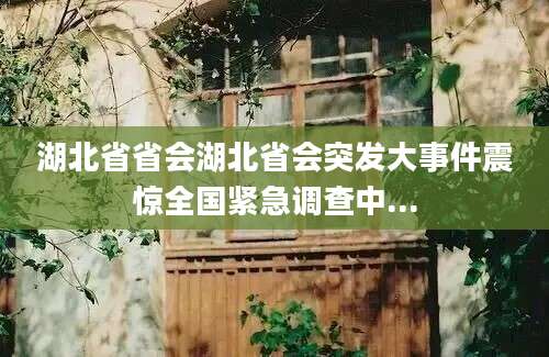 湖北省省会湖北省会突发大事件震惊全国紧急调查中...