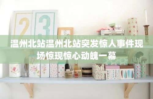 温州北站温州北站突发惊人事件现场惊现惊心动魄一幕