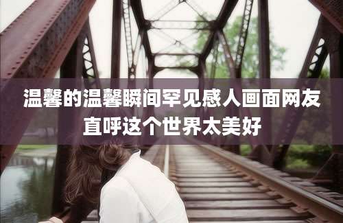 温馨的温馨瞬间罕见感人画面网友直呼这个世界太美好
