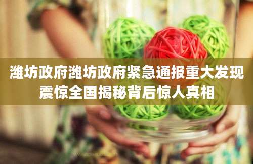 潍坊政府潍坊政府紧急通报重大发现震惊全国揭秘背后惊人真相