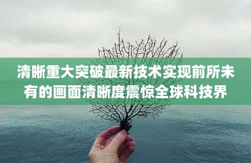 清晰重大突破最新技术实现前所未有的画面清晰度震惊全球科技界