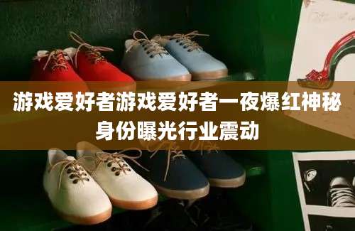 游戏爱好者游戏爱好者一夜爆红神秘身份曝光行业震动