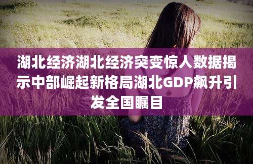 湖北经济湖北经济突变惊人数据揭示中部崛起新格局湖北GDP飙升引发全国瞩目