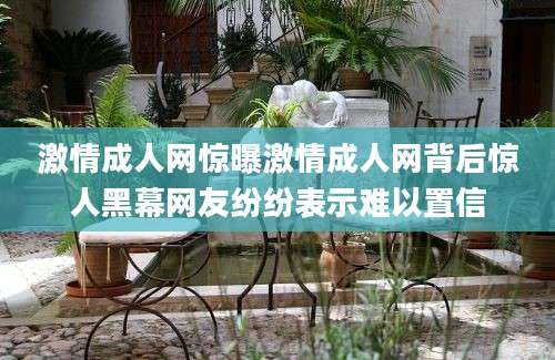 激情成人网惊曝激情成人网背后惊人黑幕网友纷纷表示难以置信
