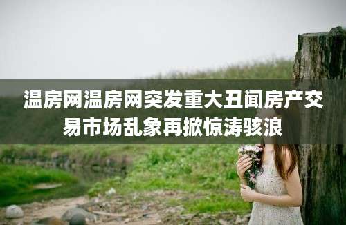 温房网温房网突发重大丑闻房产交易市场乱象再掀惊涛骇浪