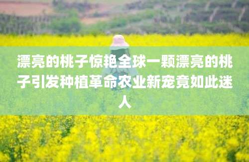 漂亮的桃子惊艳全球一颗漂亮的桃子引发种植革命农业新宠竟如此迷人