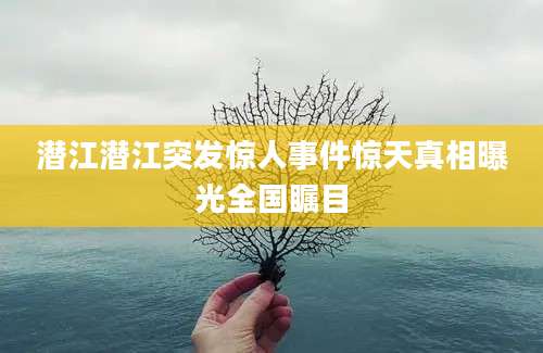 潜江潜江突发惊人事件惊天真相曝光全国瞩目
