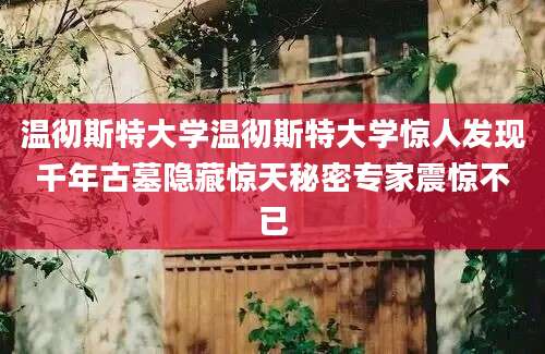 温彻斯特大学温彻斯特大学惊人发现千年古墓隐藏惊天秘密专家震惊不已