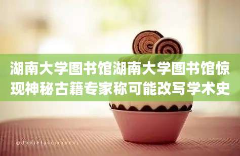 湖南大学图书馆湖南大学图书馆惊现神秘古籍专家称可能改写学术史