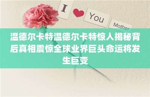 温德尔卡特温德尔卡特惊人揭秘背后真相震惊全球业界巨头命运将发生巨变