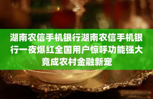 湖南农信手机银行湖南农信手机银行一夜爆红全国用户惊呼功能强大竟成农村金融新宠