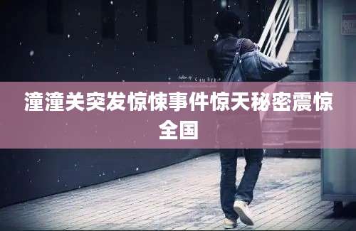 潼潼关突发惊悚事件惊天秘密震惊全国