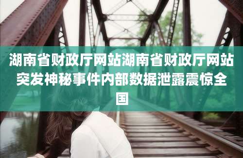 湖南省财政厅网站湖南省财政厅网站突发神秘事件内部数据泄露震惊全国